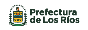 Logo del Sistema de Salud